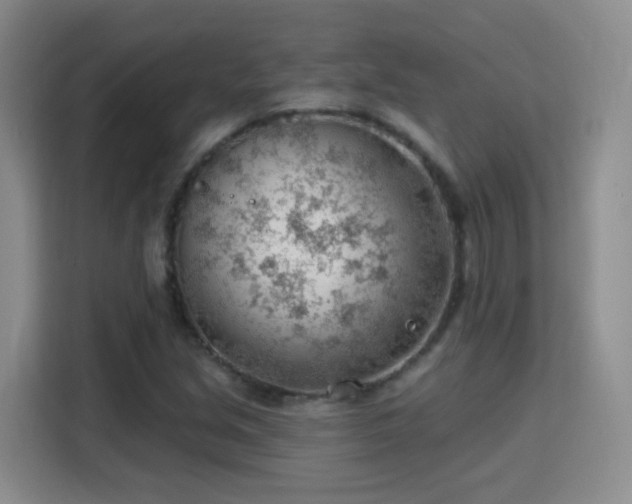 X0000115771213200911201212