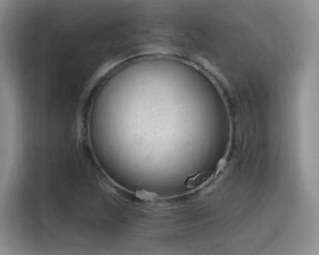 X0000115771215200911201212
