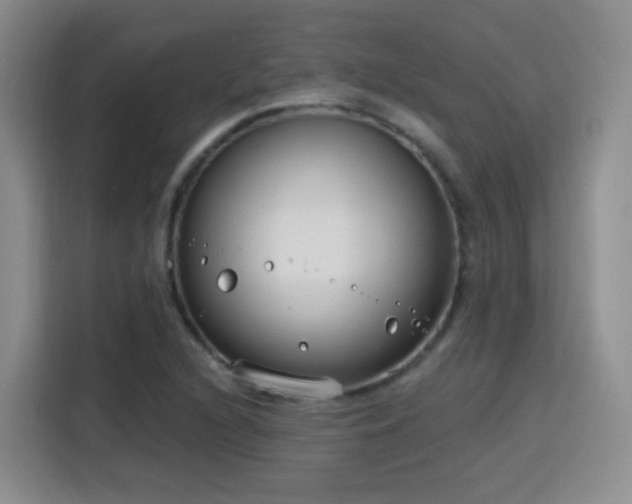 X0000115771216200911201212