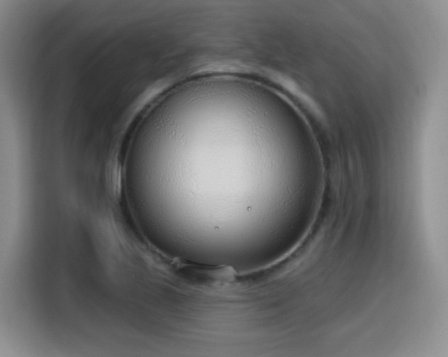 X0000115771221200911201212
