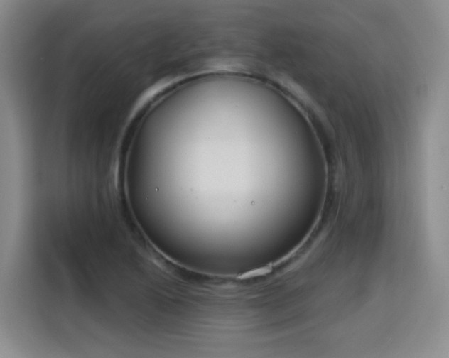 X0000115771222200911201212