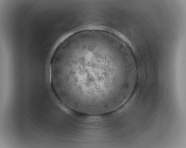 X0000115771223200911201212