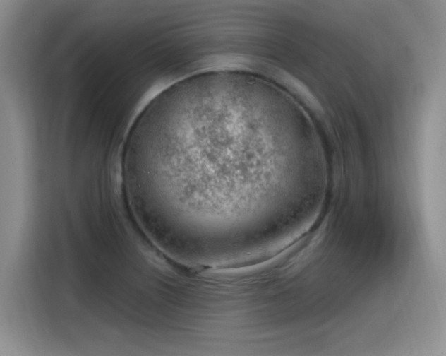 X0000115771226200911201212