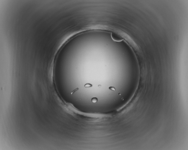X0000115771228200911201212