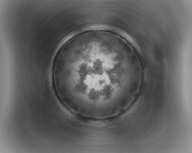 X0000115771229200911201212