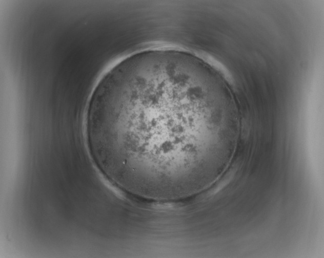 X0000115771231200911201212