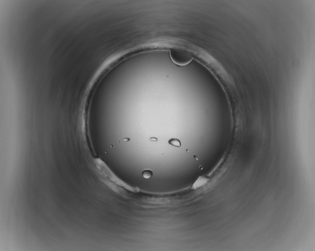 X0000115771232200911201212