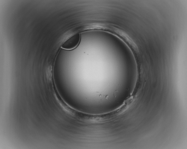 X0000115771233200911201212