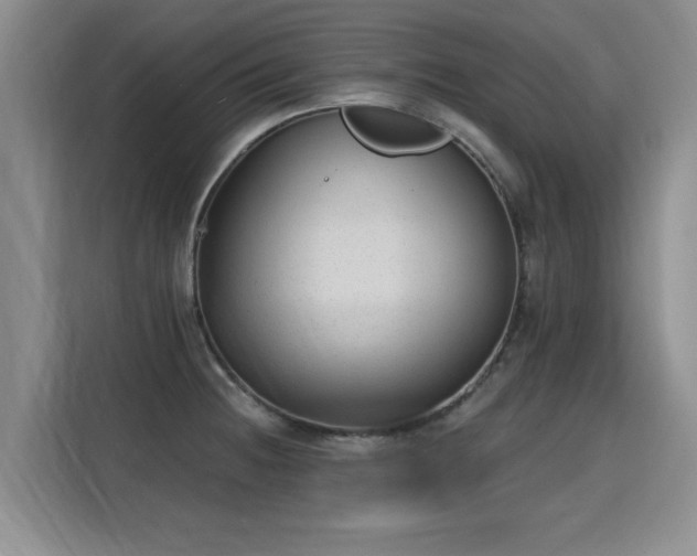 X0000115771236200911201212
