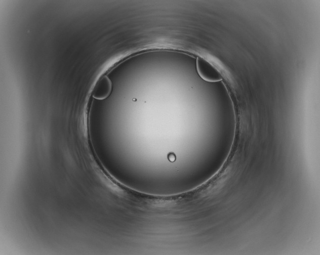 X0000115771238200911201212