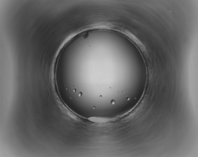 X0000115771240200911201212
