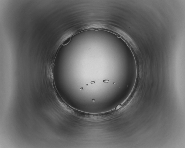 X0000115771241200911201212