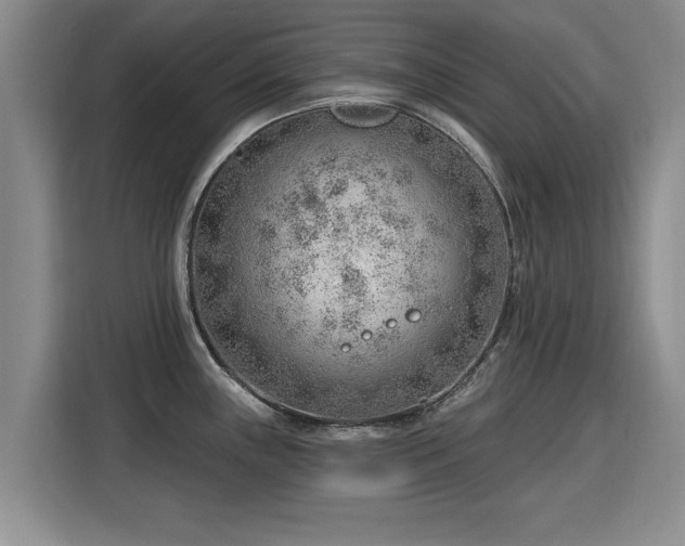 X0000115771243200911201212