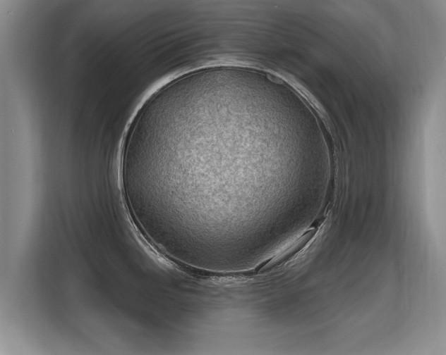 X0000115771246200911201212