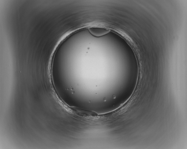 X0000115771248200911201212