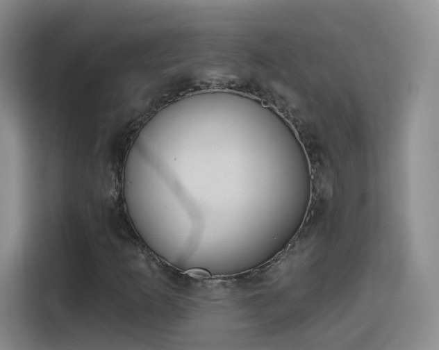 X0000115771253200911201211