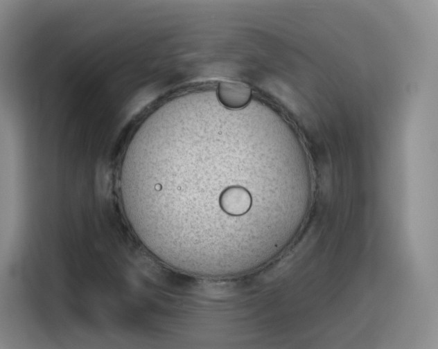 X0000115771258200911201211