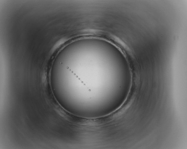 X0000115771259200911201211