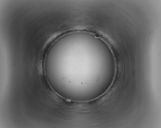 X0000115771262200911201211