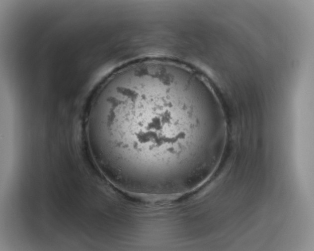 X0000115771263200911201211