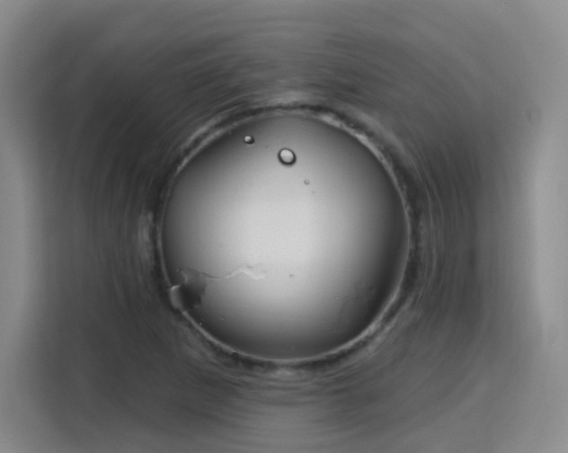 X0000115771265200911201211