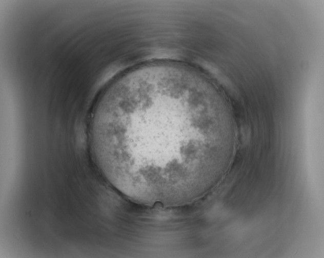 X0000115771266200911201211