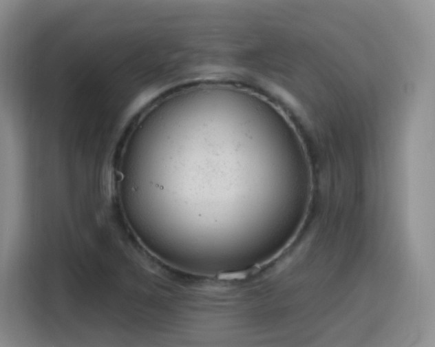 X0000115771267200911201211