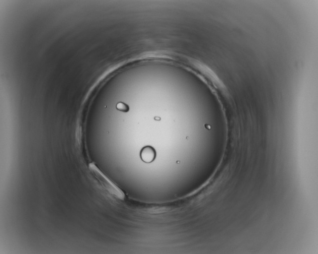 X0000115771268200911201211