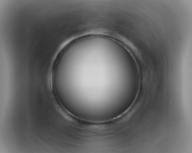 X0000115771272200911201211