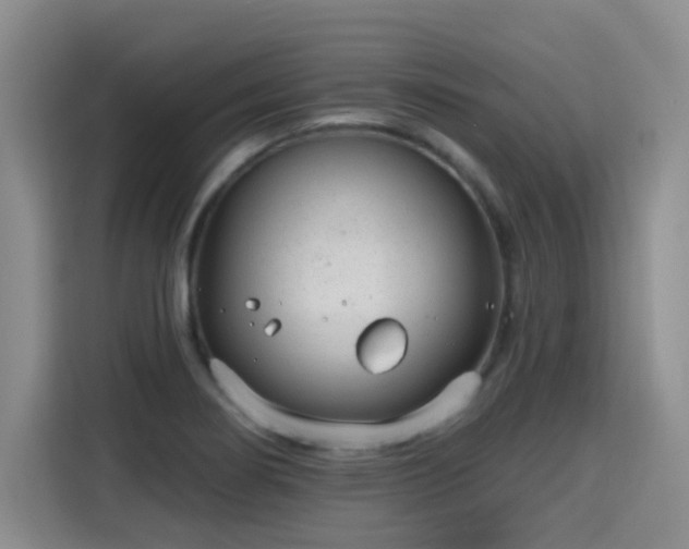 X0000115771274200911201211