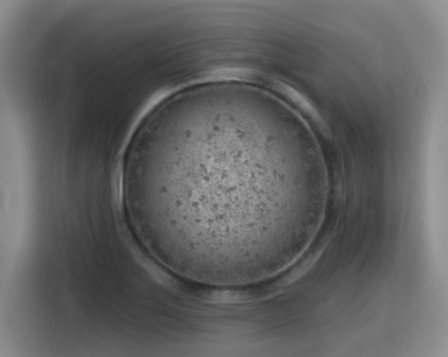 X0000115771275200911201211