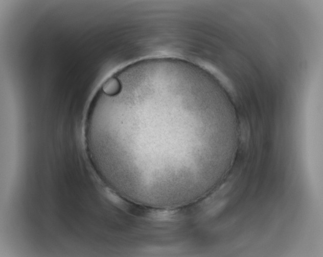 X0000115771278200911201211