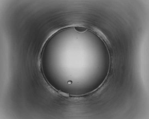 X0000115771284200911201211