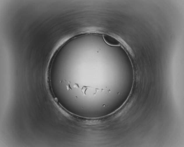 X0000115771285200911201211