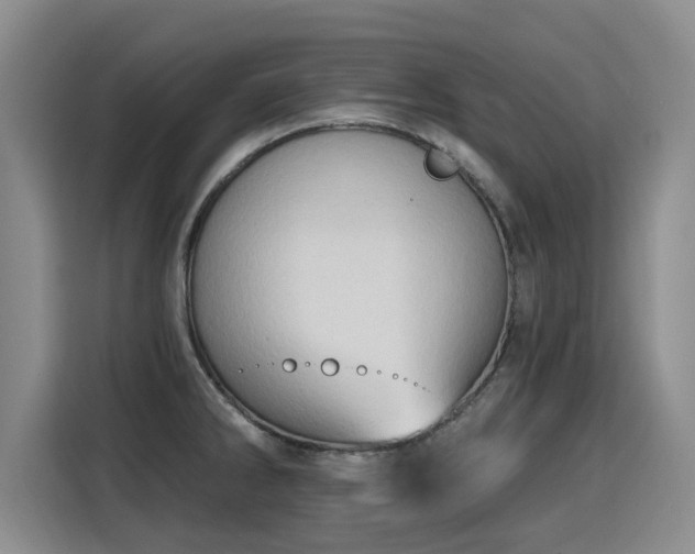 X0000115771286200911201211