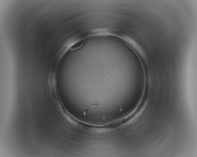 X0000115771289200911201211