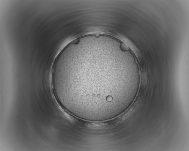 X0000115771290200911201211