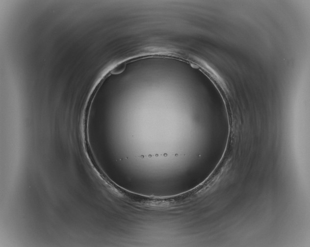 X0000115771291200911201211