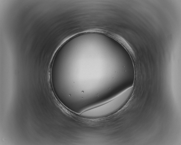 X0000115771292200911201211