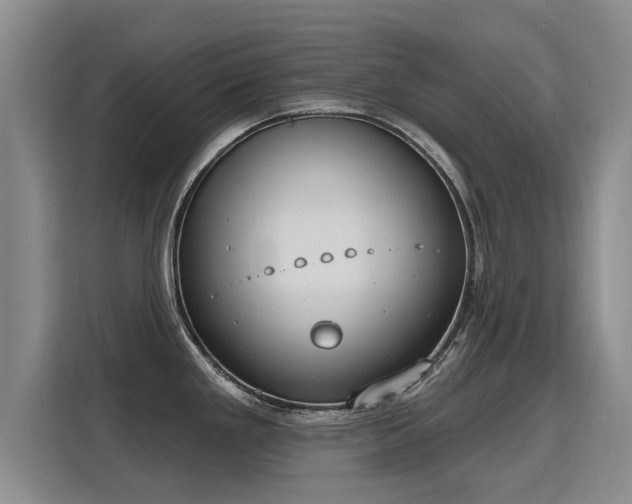 X0000115771293200911201211