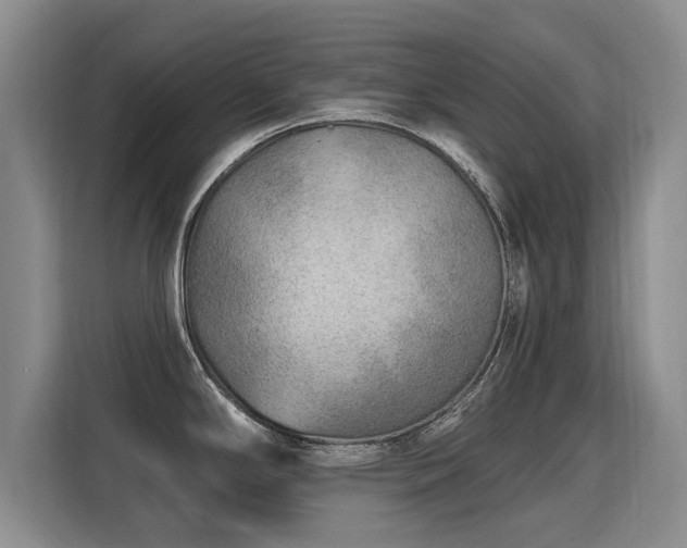 X0000115771294200911201211