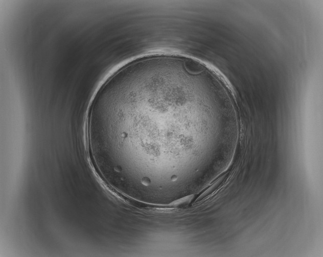 X0000115771295200911201211