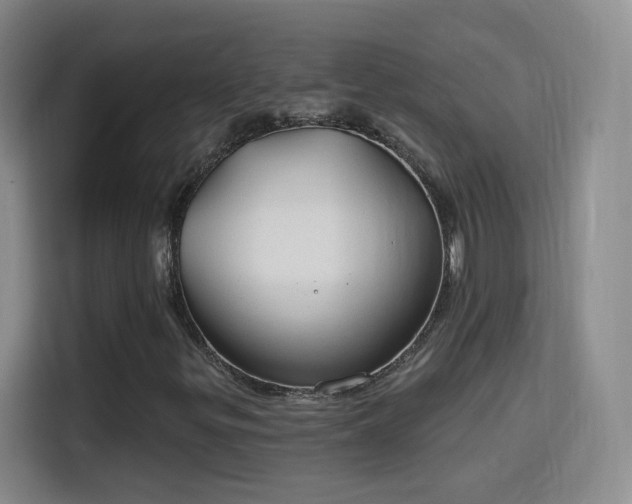X0000115771299200911201210