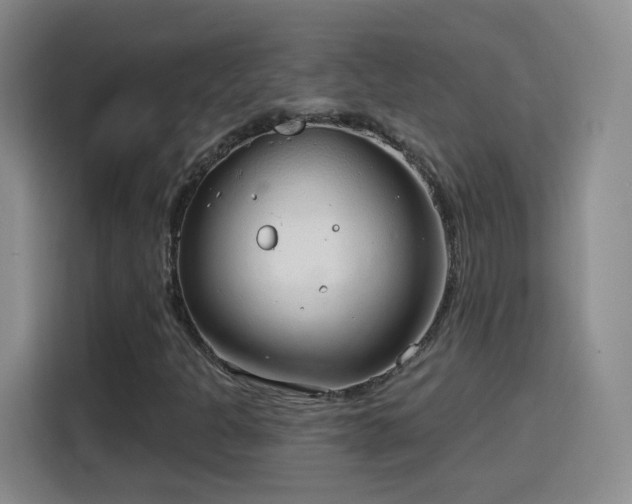X0000115771301200911201210