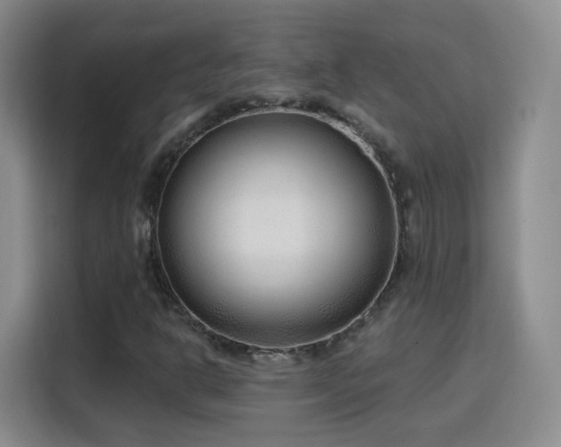 X0000115771302200911201210