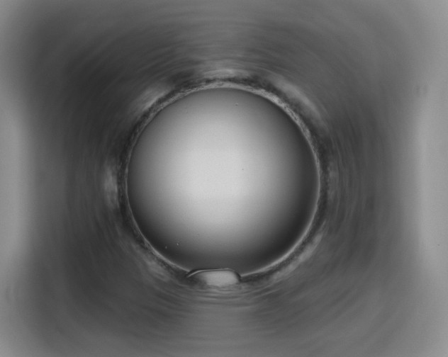 X0000115771305200911201210