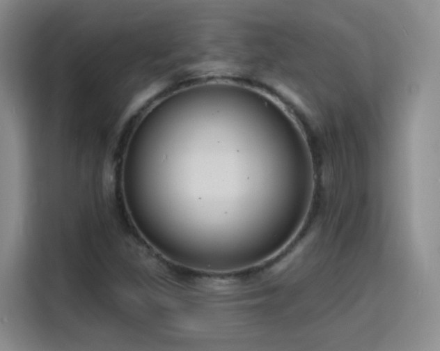 X0000115771309200911201210