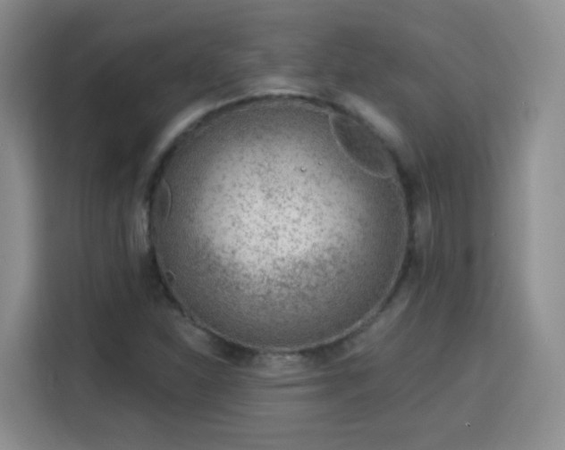 X0000115771310200911201210