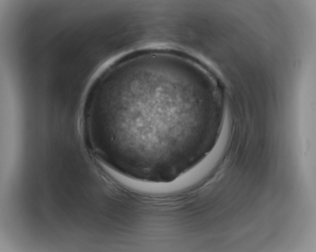 X0000115771319200911201210