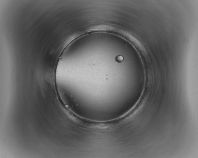 X0000115771329200911201211